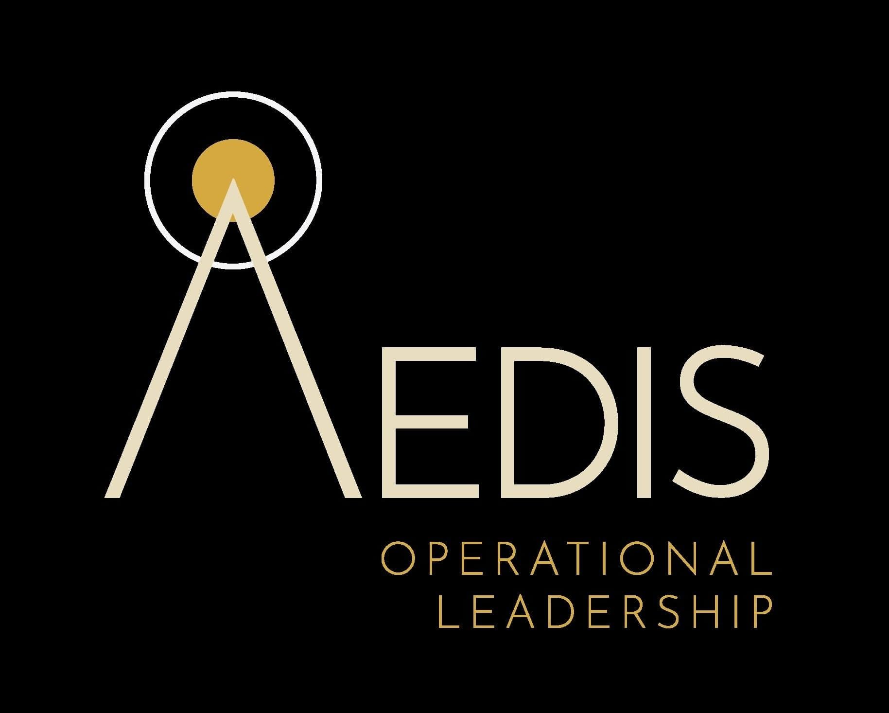Solidares, LLC DBA Aedis